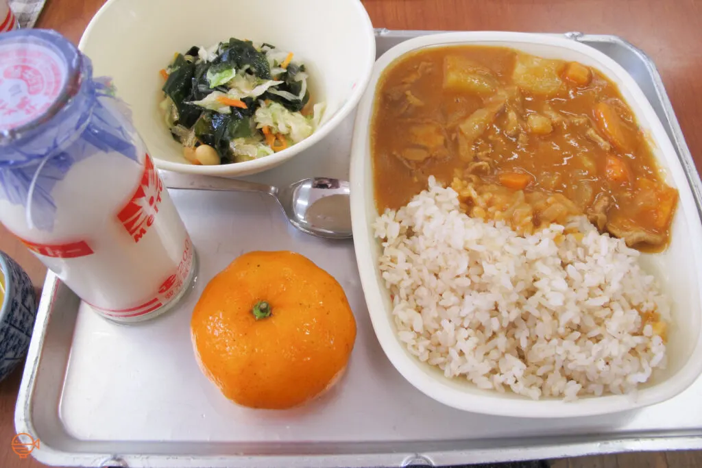 Rice and Japanese curry with potato, carrots, onion and meat. To the left is a side dish of cabbage, carrot, beans and wakame seaweed, along with a mandarin and a bottle of milk.