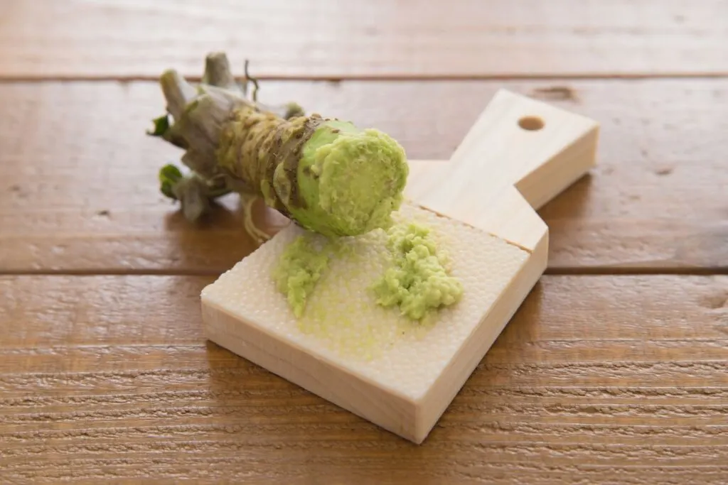 A rhizome rests upon a traditional shark skin grater with a small amount of wasabi paste that has been freshly grated.