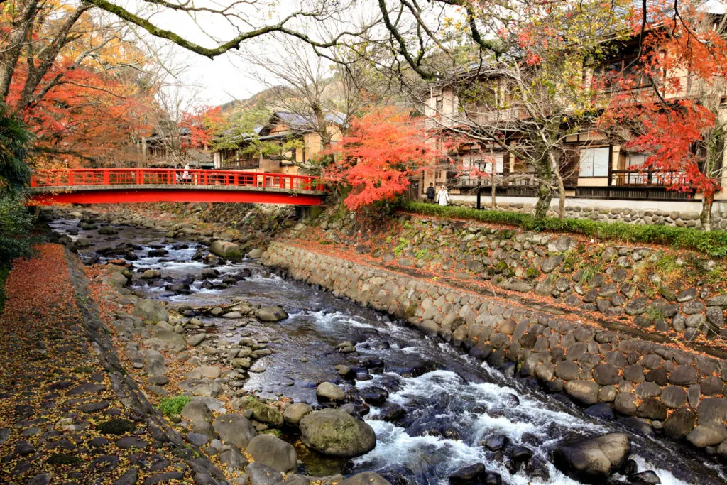 The Katsura River with its many rocks appears like a babbling brook in parts (like it does here). There is a quaint red bridge over the water and some of the deciduous trees lining the bank have turned red. Japanese-style houses can be seen through the trees along the street running parallel to the river..  