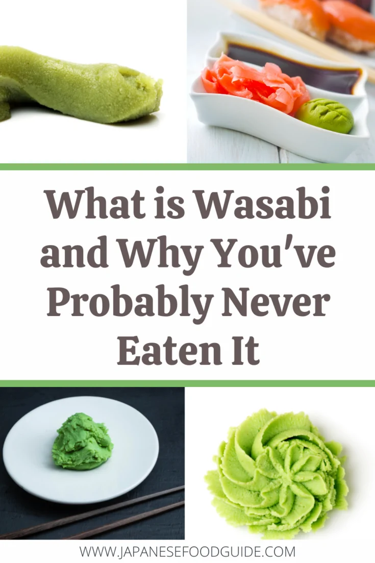 Pin for this post - What is Wasabi and Why You've Probably Never Eaten It