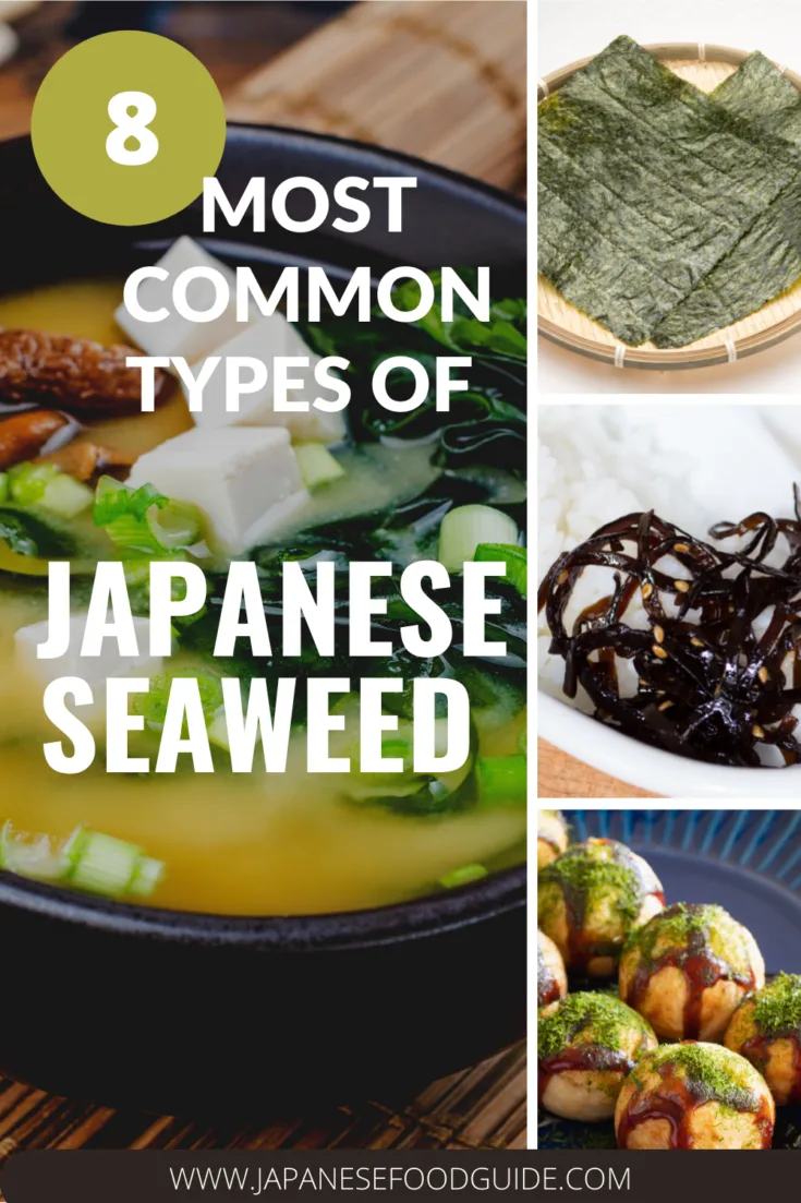 Pin for this post - Common Edible Seaweed Types in Japan