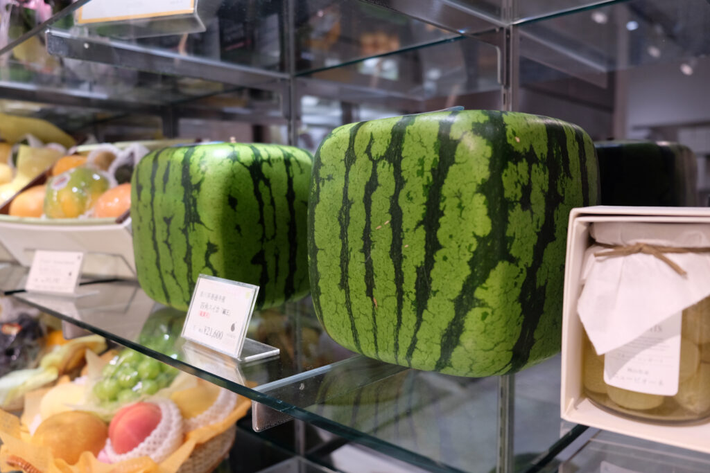 Two square watermelons sit on a glass display shelf in a dedicated fruit gift shop in Tokyo. The price per square watermelon is 21,600 yen or about US$200. 