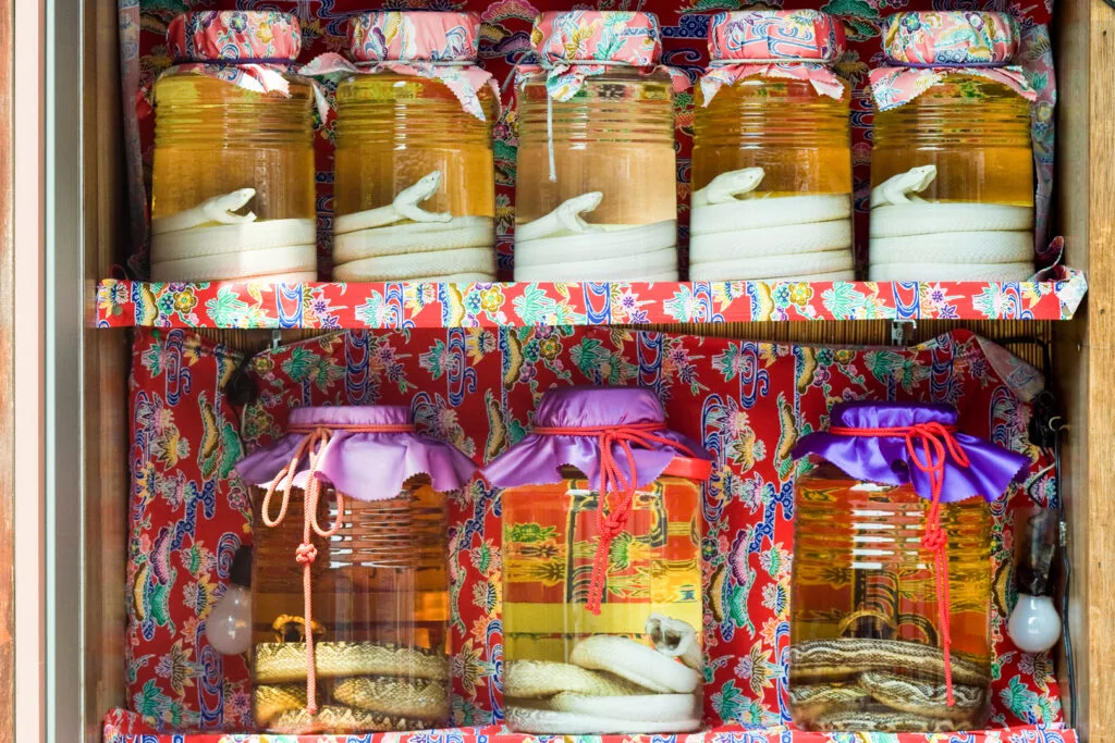 Five medium-sized jars of habushu snake alcohol on the top shelf and three larger jars on the bottom self. The jars have material over the lid, which is kept in place with some cord wrapped around it. The shelves have been lined with a colorful patterned paper with red as the main color. The snakes in the jars on the top shelf are white, while the bottom ones have their brown patterns still discernable. All the snakes appear to be in a 