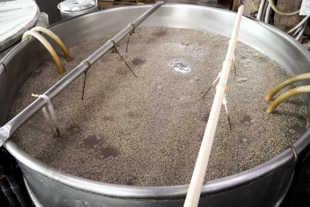 Rice koji, water and yeast (a mix known as 'moromi') in a vat at an awamori distillery in Okinawa.