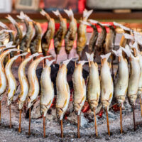 Dozens of ayu fish on skewers arranged in a perfect circle around a charcoal fire for grilling.