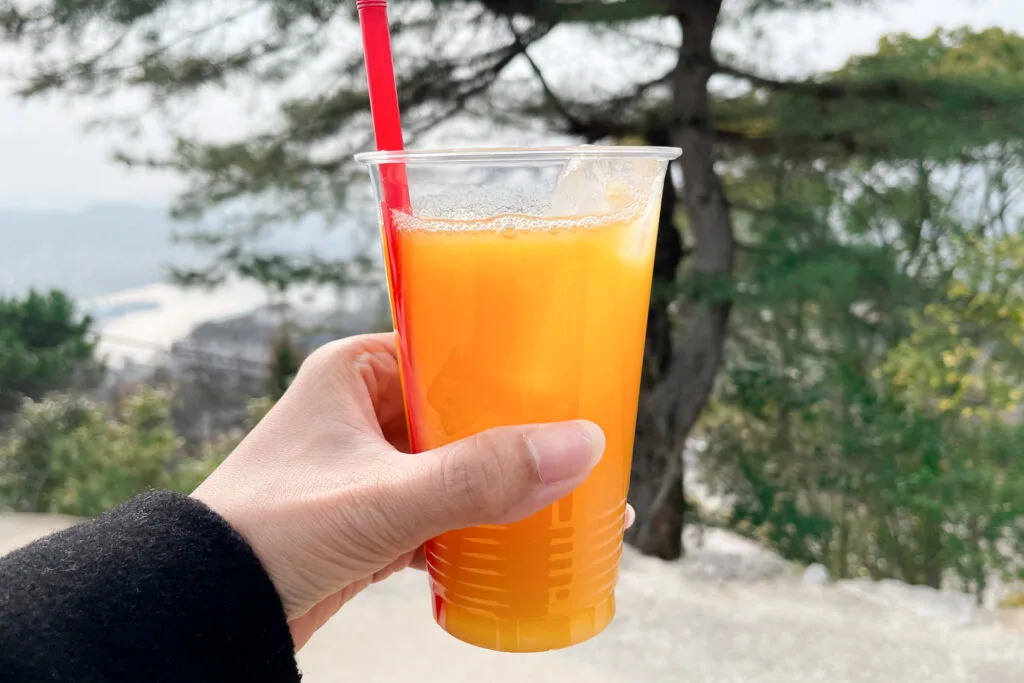 The photographer holds out a takeout hassaku juice with their left hand. There is a red straw in and in the background is trees and a sea view below.