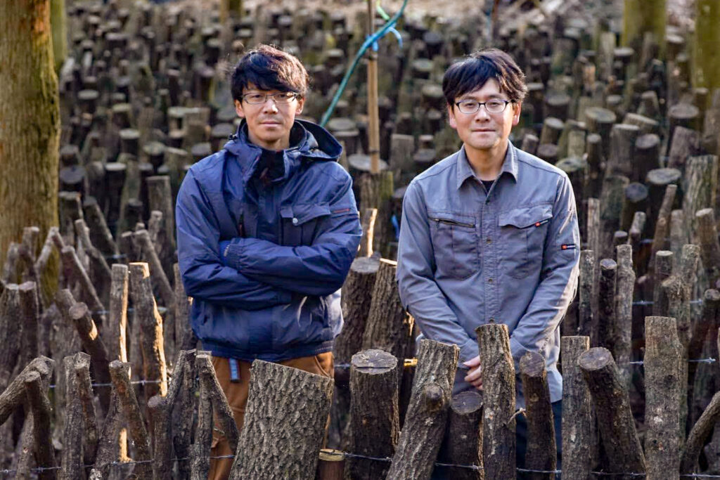 Kiyosue brothers Kenji (left) and Takafumi (right) stand next to each other facing the camera amongst the sawtooth oak logs they use for shiitake mushroom cultivation on the Kunisaki Peninsula.