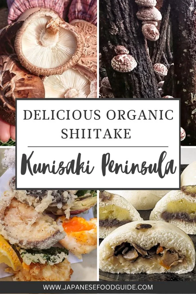 Pin for this post - Shiitake Mushrooms on the Kunisaki Peninsula