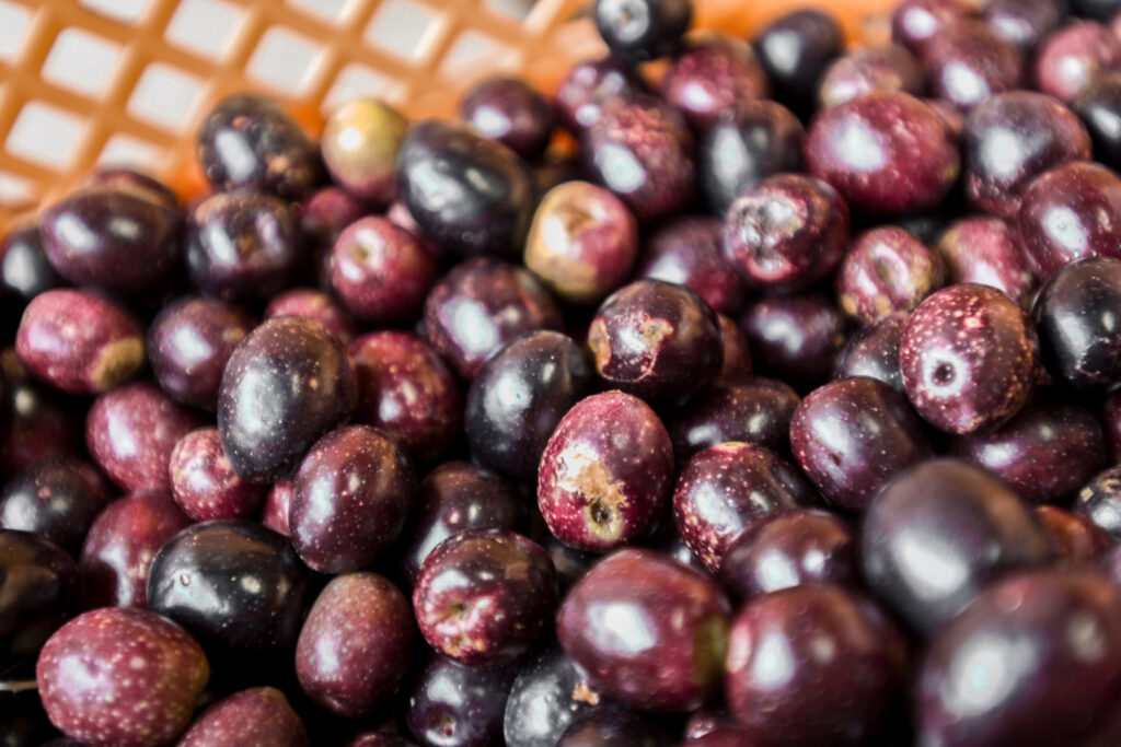 A close-up of Shodoshima black olives (dark purple in color). The thatched pattern of the bamboo basket they are sitting in can be partially seen behind them.