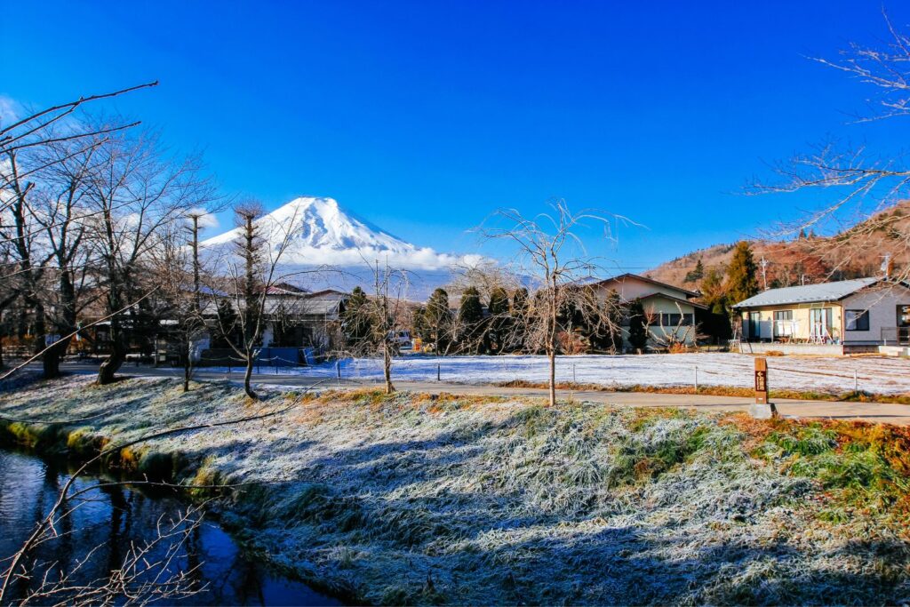 A snow-capped Mt Fuji on a gloriously clear and sunny winter's day. The shot has been taken from Oshino Hakkai, famous for its clear water ponds fed by snowmelt from the mountain.