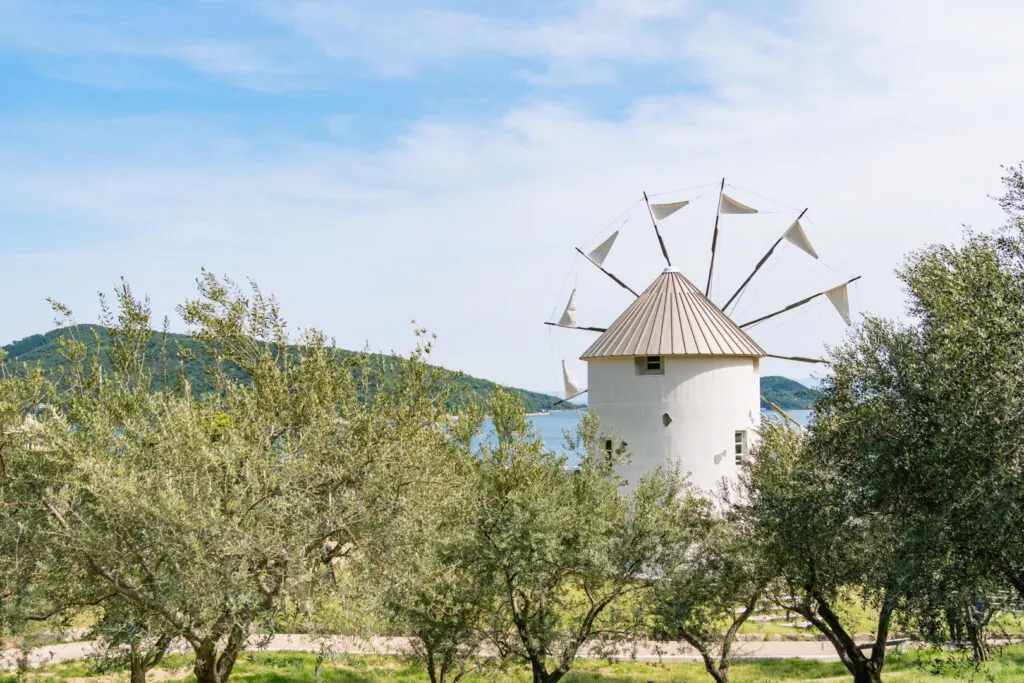 Olive trees in the foreground with a white Greek windmill and the sea beyond it in the background at Shodoshima Olive Park.