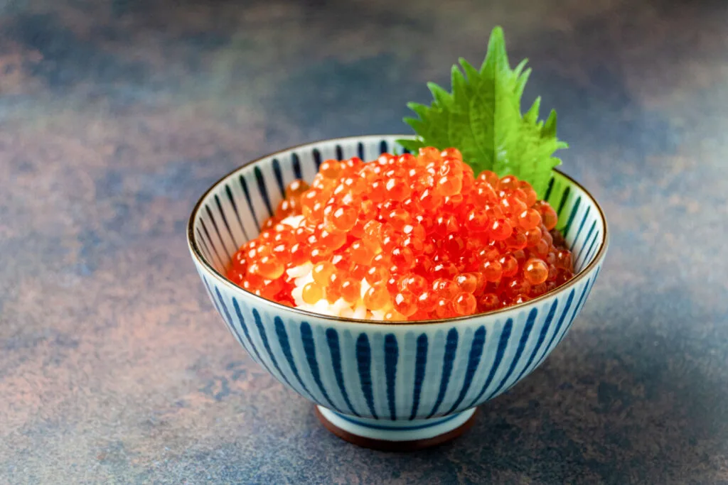 Food in Hokkaido: A small white ceramic bowl with thick blue vertical lines on it is filled with white rice and topped with a generous serving of cured, bright orange salmon roe (a dish known as 'ikura don'). A green shiso leaf has been tucked into the side of the bowl for presentation.