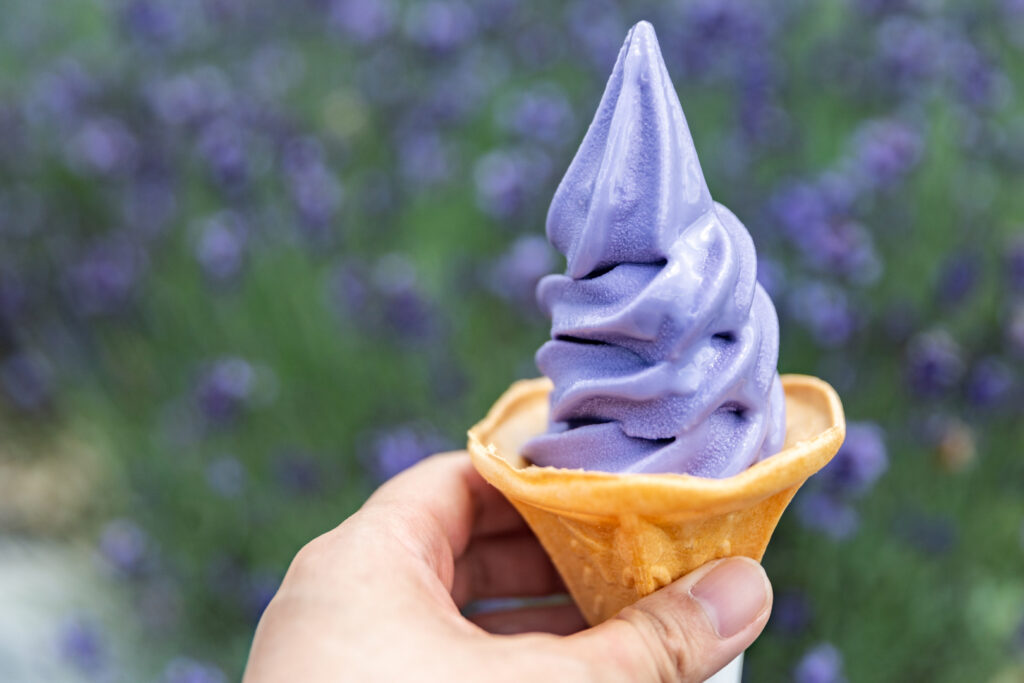 Food in Hokkaido: A left hand holds out a lavender soft serve ice cream (purple/lavender color) in a cone in front of the camera. In the blurred background are lavender flowers.