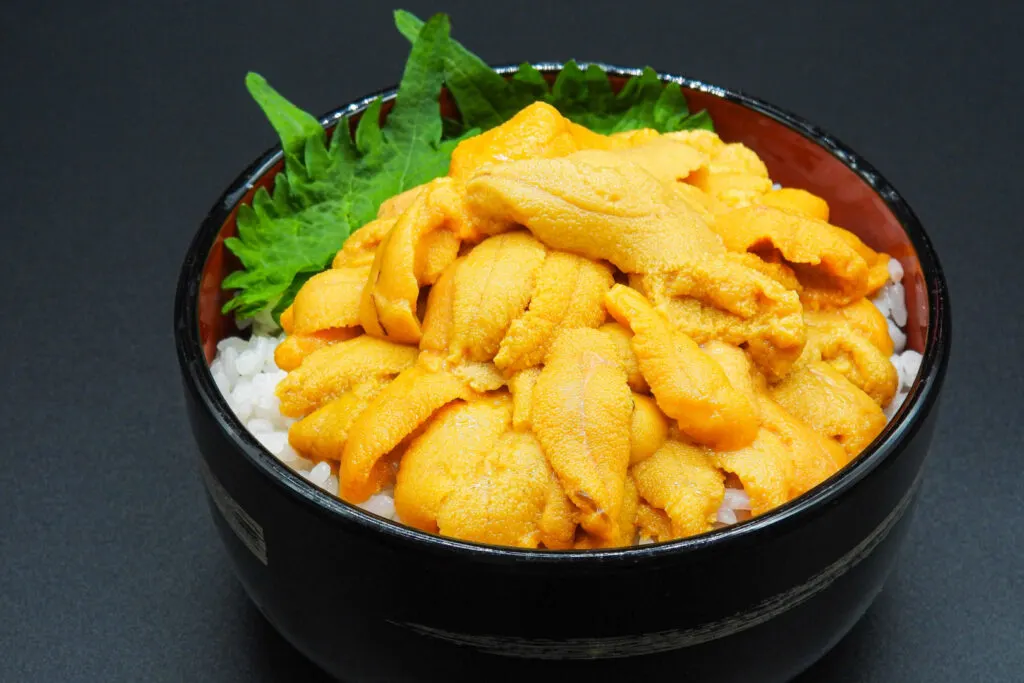Food in Hokkaido: A bowl of 'uni don' (sea urchin rice bowl). A large lacquered bowl (black on the outside and red on the inside) is filled with white rice and topped with a large amount of sea urchin (yellow in color and looks 'bumpy' like the rough surface of a tongue). Green shiso leaves have also been arranged on one side of the bowl.